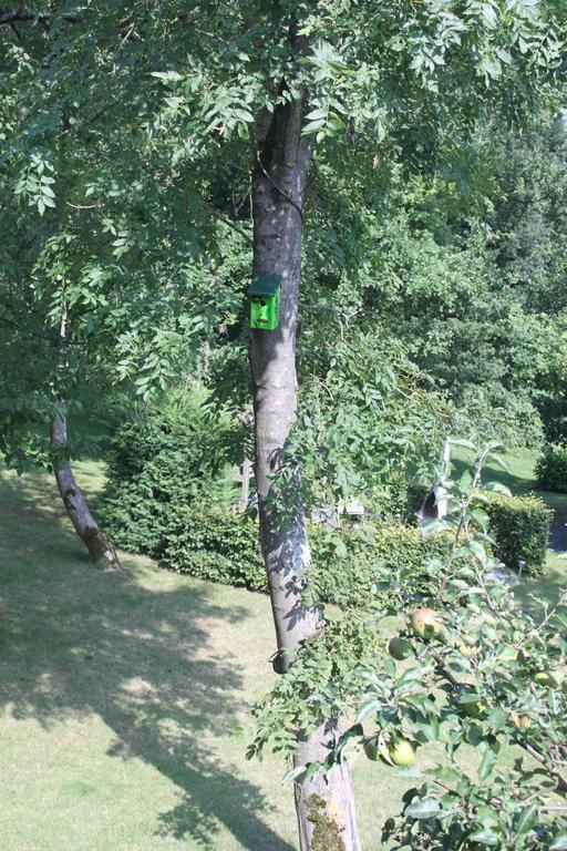 B&B Villa Roma Durbuy Dış mekan fotoğraf